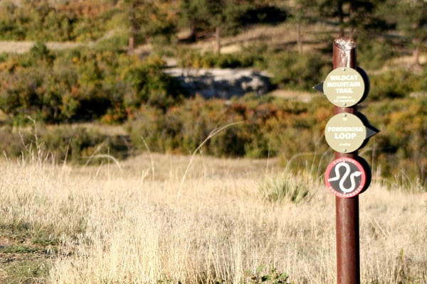 Trail Post for Wildcat Mountain Trail in Colorado