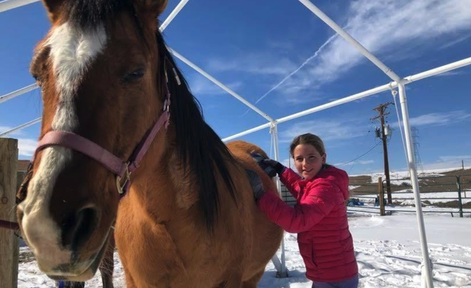 Girl in pink coat brushing horse. 