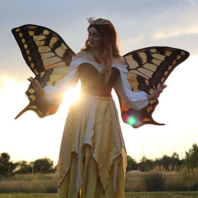Butterfly Fairy