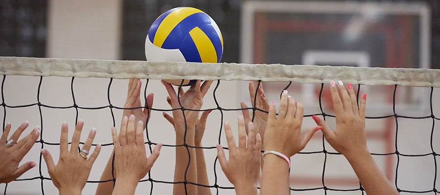 Adult Volleyball Leagues